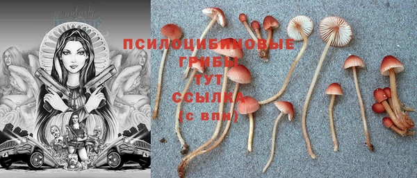 jwh Алексеевка