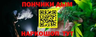 индика Партизанск