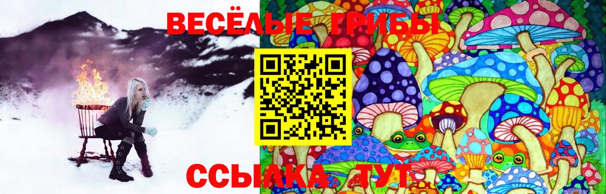 Псилоцибиновые грибы мухоморы Благовещенск