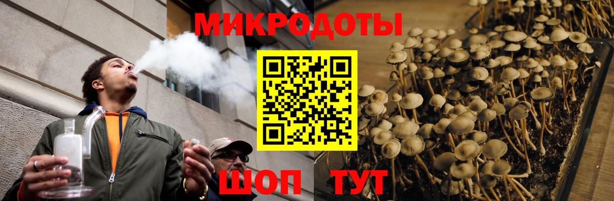 Благовещенск  Галлюциногенные грибы мицелий  Псилоцибиновые грибы Cubensis  Вход с VPN 